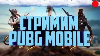 АПАЕМ МИСТЕРА ПИ 1lvl НА 500 КУБКОВ