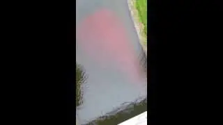 Инвестиции в зарубежную недвижимость
