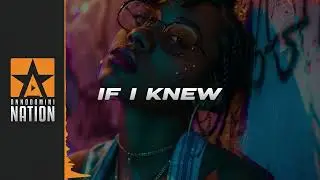 Dark Storytelling Hip Hop Beat | Hopsin Type Beat 2024 | IF I KNEW