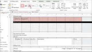 Access 2013 Formatting Reports