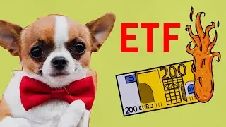 Reicht nur ein ETF wirklich? ETFs kaufen mit Wall Street Wauzi