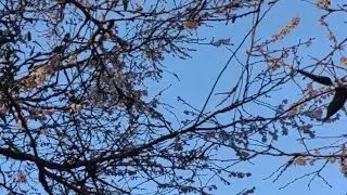 Beautiful Nature