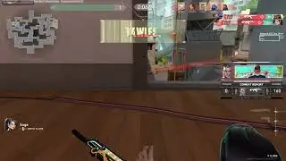 Valorant Random Plays Reyna