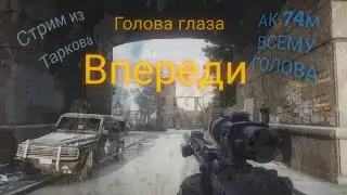 Тарков стрим качаем аккаунт с ВСС и АС ВАЛ против групп