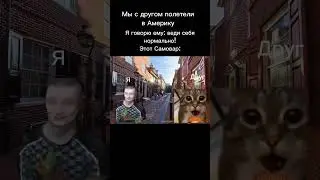 Жиза? 