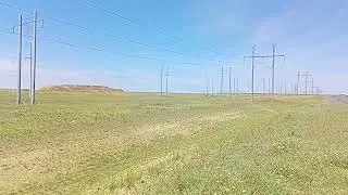 Zapallar. Xorazm. Питнак чегара атрофи