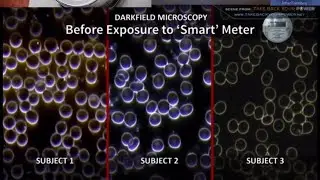 Smart Meter Dangers