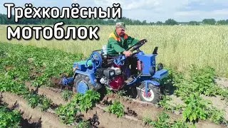 МОТОБЛОК МТЗ БЕЛАРУС | ВСПАШКА ПЛУГОМ | ПОСАДКА КАРТОФЕЛЯ | ОКУЧИВАНИЕ