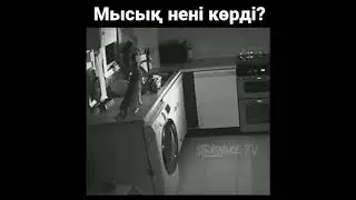 Елес ?!