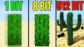 cactus 1 bit 2 bit 4 bit 8 bit 16 bit 32 bit 64 bit 128 bits 256 bit 512 bit