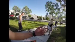 Pomona Friendly Canines Cal Poly Walk March 2016