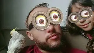 melhor vídeo do mundo #um #um #melhoresmomentos #viral #viralvideo #viralvideos #comedia #humor