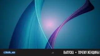 Почему женщины выходят замуж за идиотов. Dislive