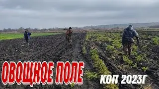 Овощное поле. В поисках монет и старины. Коп 2023г.