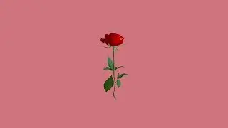 [FREE] Lil Skies Type Beat 'Rose' Free Trap Beats 2018 - Instrumental Rap
