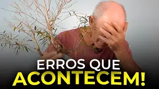 CONTINUANDO A FORMAR BONSAI DE FÍCUS NERIFOLIA | Ficus Nerifolia Nº2 - Vídeo 2