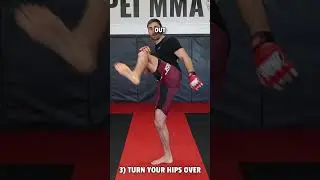 How to throw a FAST and POWERFUL switch kick | MUAY THAI | MMA |