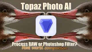 Photo AI, Process RAW or Photoshop? Real Comparison