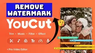 How to Remove Watermark in Youcut 2025?