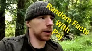 Random Facts With Paj