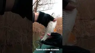 Голавль на воблеры. Открытие сезона 2023