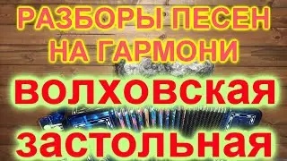 РАЗБОР ПОД ГАРМОНЬ ВОЛХОВСКАЯ ЗАСТОЛЬНАЯ! НАШ ТОСТ!