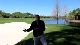 Shade and Tree Removal