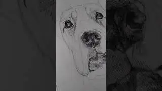 Рисование тушью