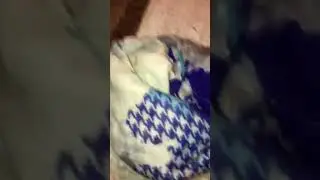 ШАРФ