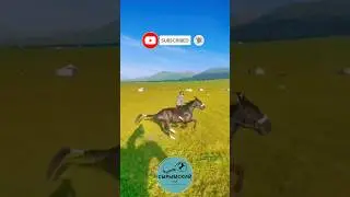 ЭКСКЛЮЗИВ 26. БЫСТРЫЙ СКАКУН 