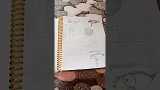 Если коментарии будут отключины то пишите в видео (закатали яблоко)