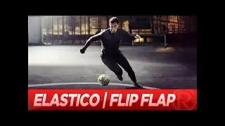 финт - 