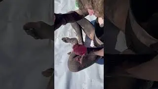 Перформанс в красках • Женя меняет себя и жизнь