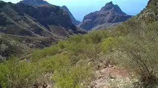 С вершины ущелья Маска. Тенерифе