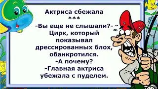 Самые смешные анекдоты 1