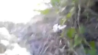 Что произошло с моей хатой? #1