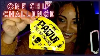 One chip challenge- full video