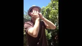 Beatbox harmonica Berkeley 2014
