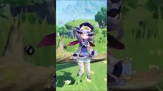Best Healer in Genshin Impact. 