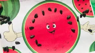 🍉☀️Яркая и солнечная игра для всей семьи «Арбуз».