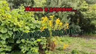 Муж пропадает на уборочной.Обзор хозяйства.Как я справляюсь.Стройка продолжается.