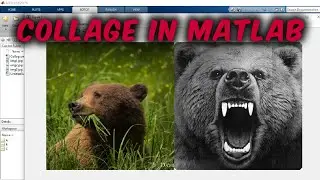 How to make collage of images in MATLAB | MATLAB CODING | Image Collage