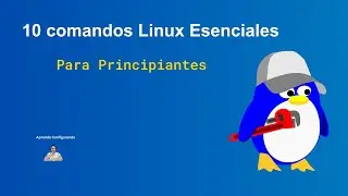 🚀 Learn Linux Fast: 10 Basic Commands Every Beginner Should Know 🔧
