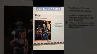 WCS Team USA 2008 #worldcosplaysummit