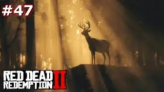 RED DEAD REDEMPTION 2 - A LEAP OF FAITH