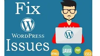 I will fix wordpress website issues or errors in 12 hrs