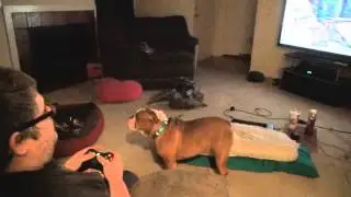 Fat Kid Upset Over Tomb Raider!