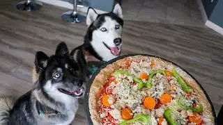 DIY Pizza For Dogs!