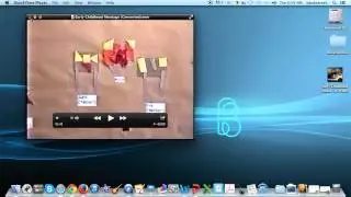 Editing Video and Reducing File Size with QuickTime (Mac Version)
