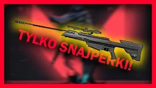 VALORANT, ale gramy tylko snajperkami z ToLinem!